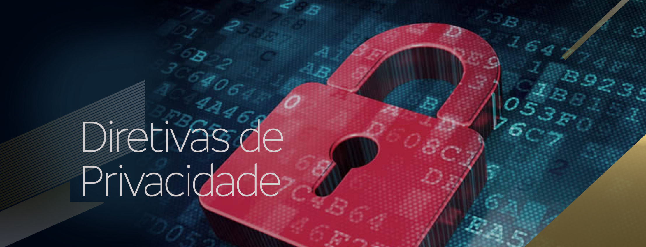 Diretiva de Privacidade